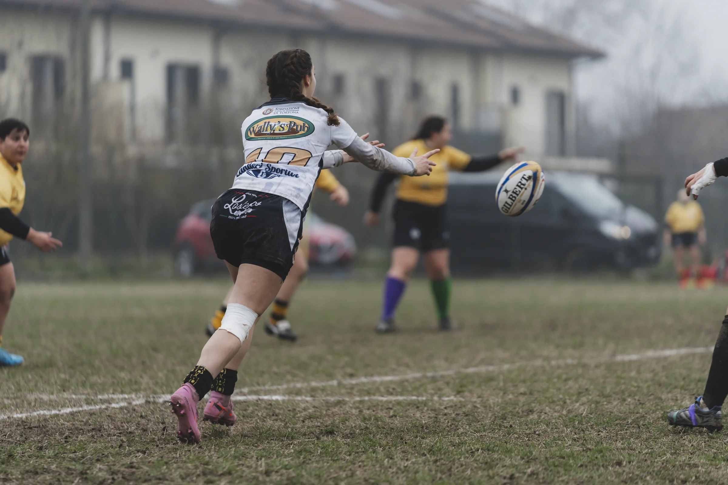 Mischia ordinata